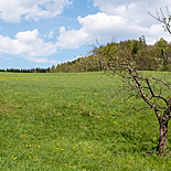 Workshop pokročilí, Kounov 2016