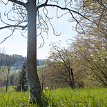 Workshop pokročilí, Kounov 2016