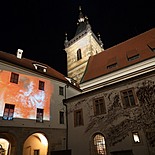 Revealing - Novomestska townhall 2013