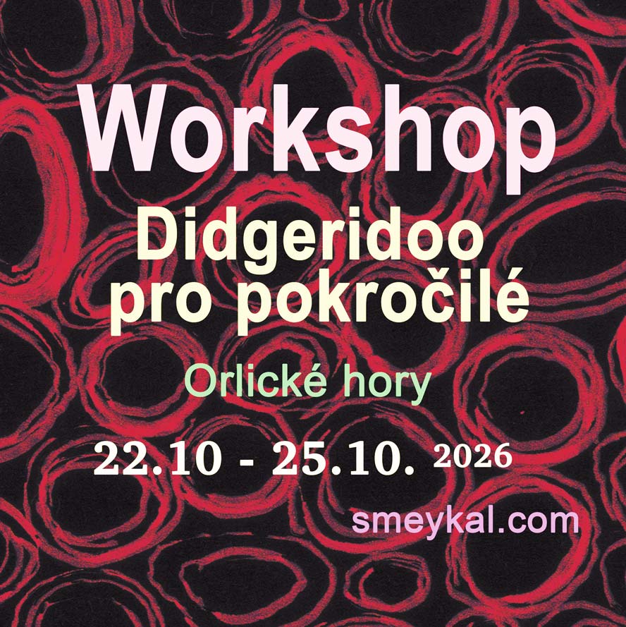 Workshop Kounov 2026